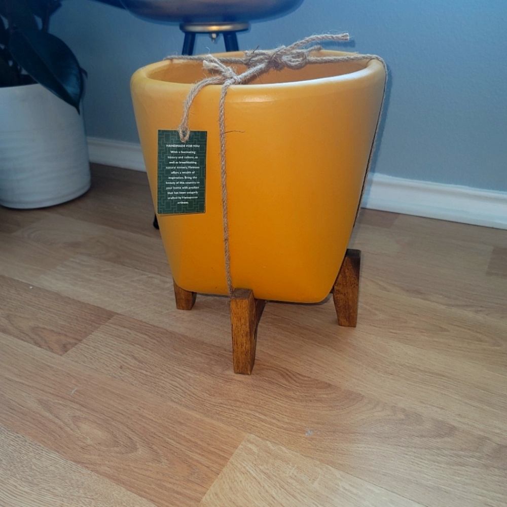 Orange indoor flower pot